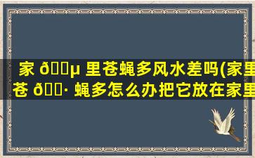 家 🐵 里苍蝇多风水差吗(家里苍 🌷 蝇多怎么办把它放在家里)